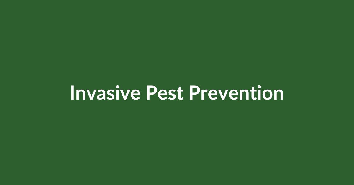 Stop Invasive Pests How to Identify and Prevent Invasive Pests in Your Home – Pest Guard
